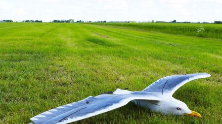 Un dron con forma de ave para uso lúdico