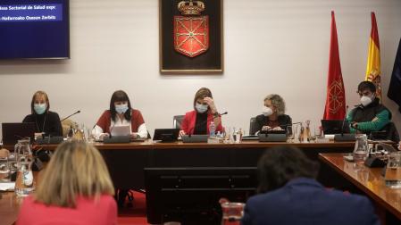 Reunión de la comisión de Salud en el Parlamento de Navarra