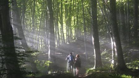 Dos senderistas, atravesando una zona boscosa en Urbasa