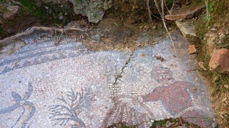 Un movimiento de tierras descubre un mosaico romano de grandes dimensiones en un olivar de Adamuz