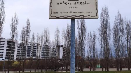 Vista de la placa.