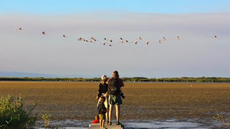 Disfrutando de la observación de aves en la laguna del Garxal, en pleno Parque Natural del Delta del Ebro