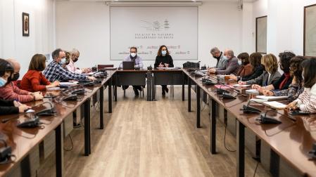 Reunión de la directora General de Políticas Migratorias del Gobierno de Navarra, Patricia Ruiz de Irizar, con diferentes profesionales del ámbito de la salud mental