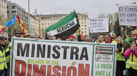 Manifestación de transportistas en Madrid, este viernes