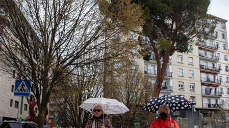 Ejemplares de diferentes tipos en la calle Mayor de Burlada