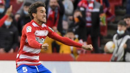 Celebración del gol de Luis Milla