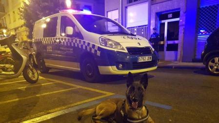 El equipo canino de la Policía Municipal se encarga de los decomisos de droga