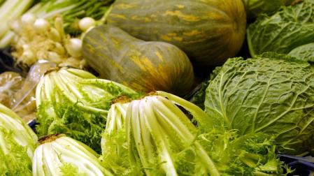 La 'Huerta de Europa' exportó el año pasado 5,7 millones de toneladas de verduras