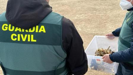 Imagen de los agentes de la Guardia Civil con los aspersores requisados