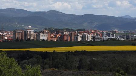 Campos de colza en las proximidades del monte San Cristóbal