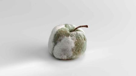 Podredumbres nobles, manzana fermentada con penicillium candidum y penicillium roquefortis, rellena de mermelada de naranja, por Andoni Luis Aduriz