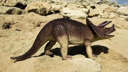 Reproducción de un Triceratops