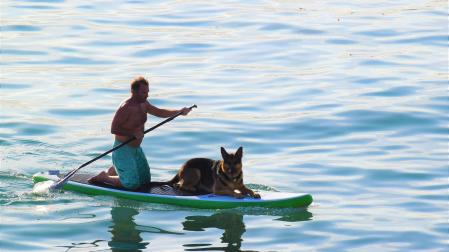 Imagen de archivo de un hombre con su perro en una tabla de surf
