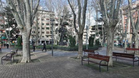 Los árboles centrales en la plaza de la Cruz