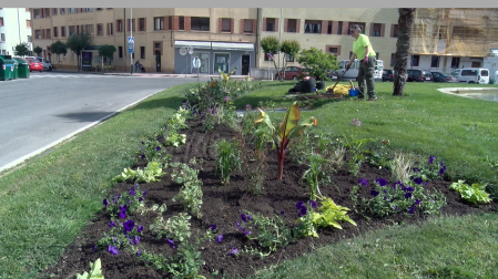 El Ayuntamiento de Pamplona inicia la plantación de parterres