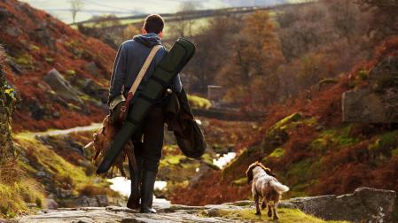 Los cazadores piden abolir la obligación de esterilizar los perros de caza en Navarra