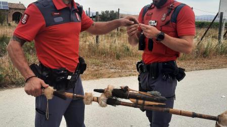 Dos policías forales, con la cerbatana decomisada en Santacara