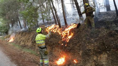 Trabajos de extinción del fuego declarado en los montes próximos a Yesa este lunes, 20 de junio