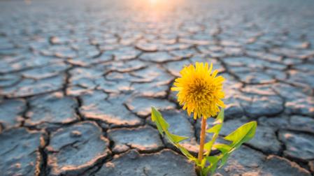 Cambio climático