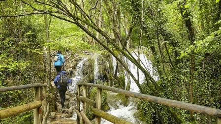 En Navarra hay infinidad de cascadas para disfrutar de un fresco paseo