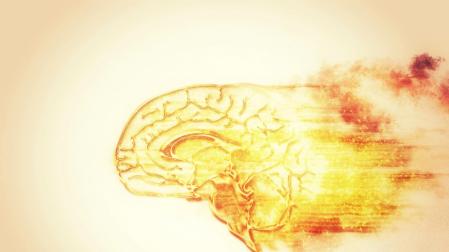 Cerebro