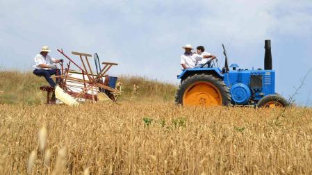 Miranda de Arga regresa al pasado para recuperar oficios de antaño, incluido el trabajo tradicional agrícola