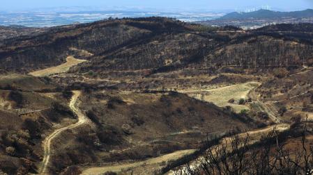 Los incendios, un mes después: San Martín de Unx./