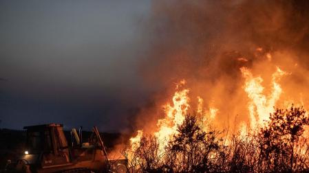Incendio de Losacio (Zamora)