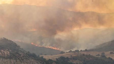 Incendio de Valdepeñas de la Sierra (Guadalajara)