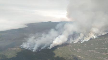 Incendio del norte de Tenerife

112 CANARIAS

22/07/2022