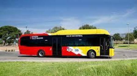Imagen de un autobús de la red de Transporte de Baleares (TIB)