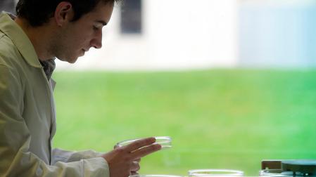 Un investigador observa unas placas de Petri en el laboratorio