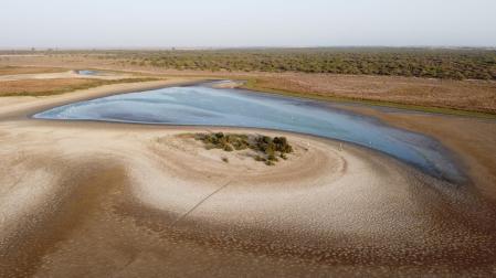 Vista de la laguna de Santa Olalla en el Parque Natural de Doñana en Almonte (Huelva) casi seca