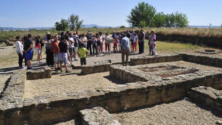 Visita guiada a la ciudad romana de Andelos