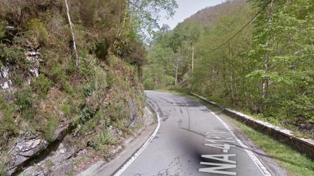 Curva en la NA-4150 entre Leitza y Goizueta