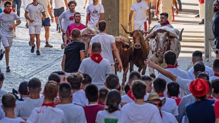 La manada encara la plaza de Santiago en un encierro de las fiestaa de Estella 2022
