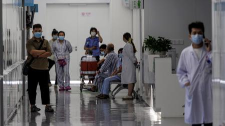 Se han detectado en dos provincias chinas 35 contagios en humanos de un nuevo virus de origen animal del tipo Henipavirus
