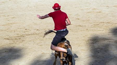 Cogida de un mozo en las vacas de Estella