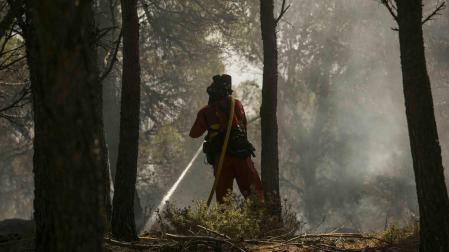 Miembros de la Unidad Militar de Emergencias (UME) trabajan en la extinción de un incendio en la localidad de Borja (Zaragoza)