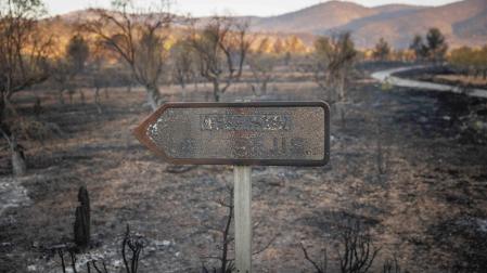 El Toro (Castellón) por el incendio forestal que se declaró en el término municipal de Bejís