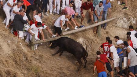 Fotos del último encierro del Pilón de Falces