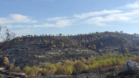Estado en el que ha quedado la zona tras el incendio