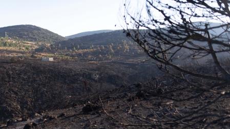 El incendio de Bejís ha arrasado más de 19.000 hectáreas