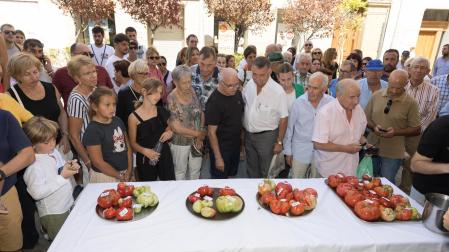 XV Concurso de Tomate Feo de Tudela