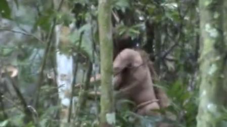 Un fotograma de un vídeo de la FUNAI sobre ’El hombre del agujero, grabado durante una misión de vigilancia del Gobierno