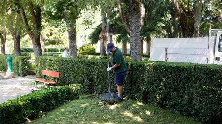 Una persona realizando labores de jardinería