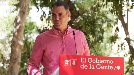 El presidente del Gobierno de España y secretario general del PSOE, Pedro Sánchez, se dirige a los militantes del partido durante primer acto de la campaña 'El Gobierno de la Gente' en Sevilla