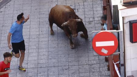 Último encierro de San Sebastián de los Reyes