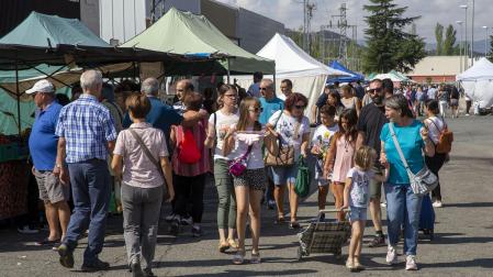 Familias y parejas pasean por el mercadillo de Landaben