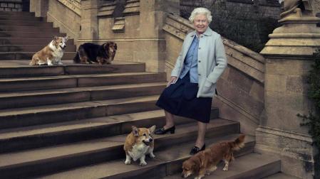 La reina, posando en 2016 con sus perros en una de las escaleras del castillo de Windsor